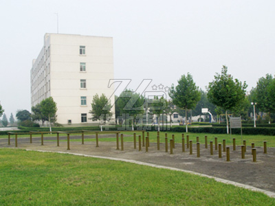 �����ߣ�÷�����������ۘ�