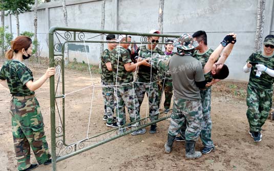 �ӱ�����609Ұ��(zh��n)��չӖ��������ʽͶ��ʹ����